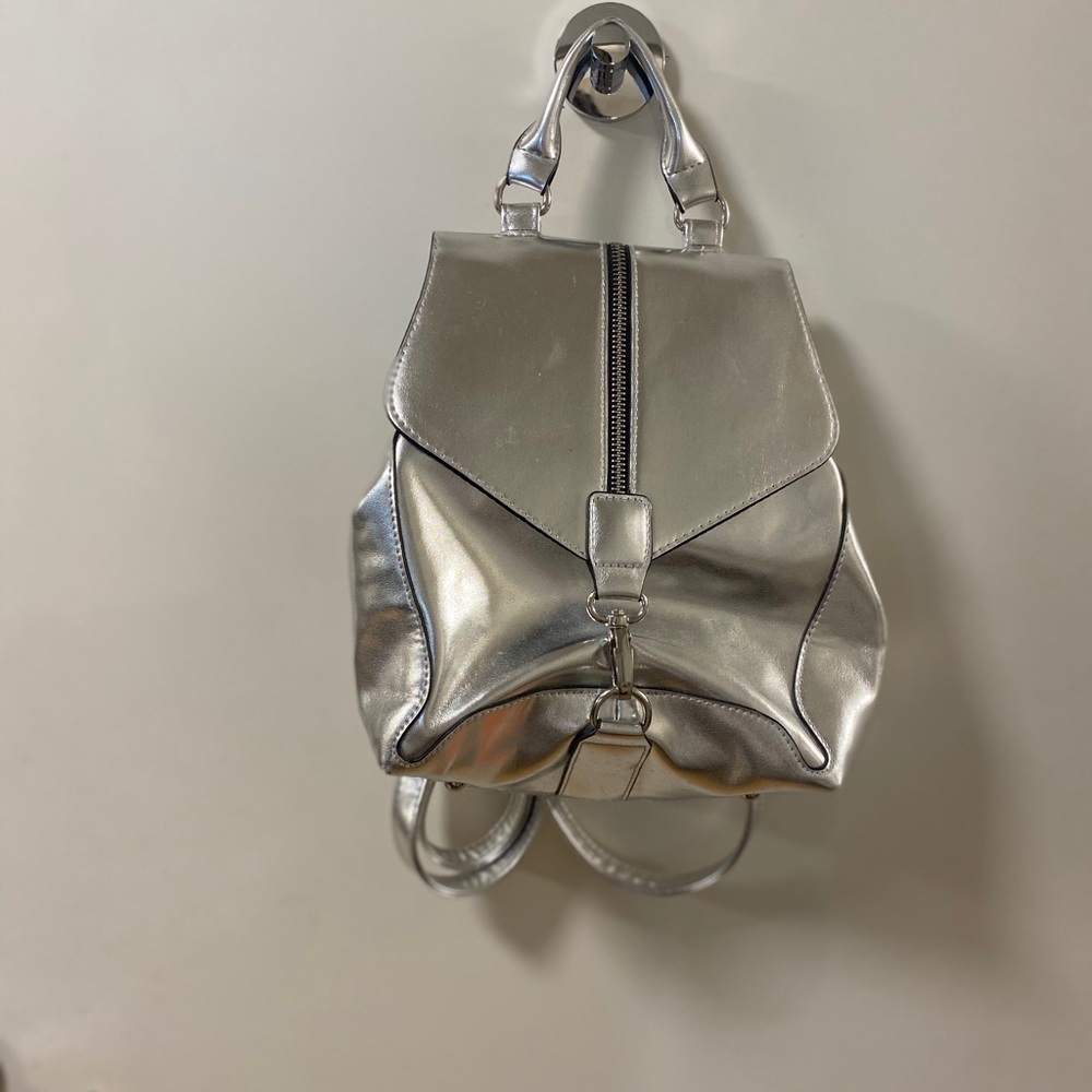 DSW silver bag